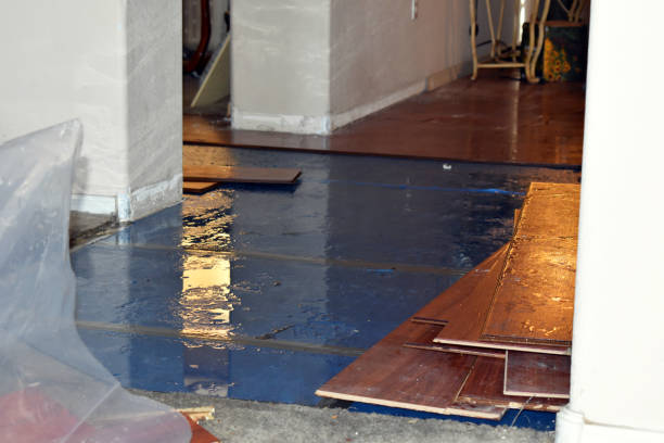 Professional Flood Damage Repair technician working in Jensen Beach, FL